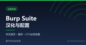 Burp Suite 汉化与配置指南：中文显示、必备插件与六个必改设置-星宇安全实验室